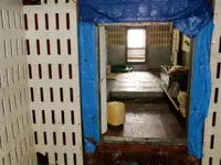 लॉन्गलाइनर बिक्री के लिए