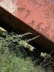 बार्ज बिक्री के लिए