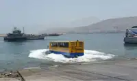 उभयचर बिक्री के लिए