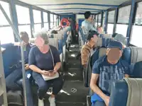 उभयचर बिक्री के लिए