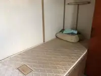 टोबोट बिक्री के लिए