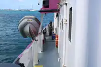 General Cargo/Multi-purpose बिक्री के लिए