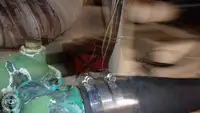 डाइव सपोर्ट बिक्री के लिए