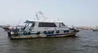 पायलट बोट बिक्री के लिए