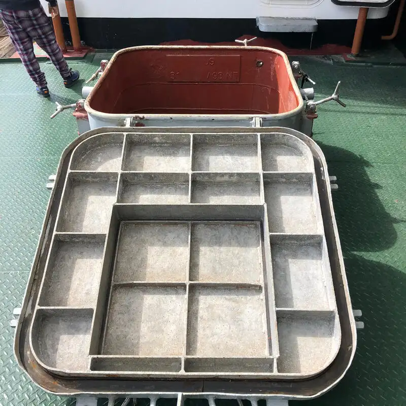 लॉन्गलाइनर बिक्री के लिए