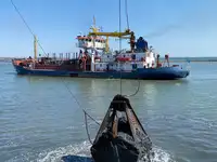 ड्रेजर बिक्री के लिए