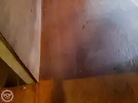 फेरी पोत बिक्री के लिए