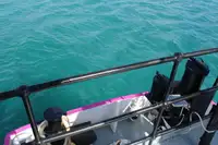 General Cargo/Multi-purpose बिक्री के लिए