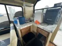 क्रूज जहाज बिक्री के लिए