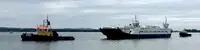 टोबोट बिक्री के लिए