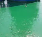बल्क वाहक बिक्री के लिए