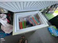 पॉन्टून बिक्री के लिए