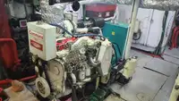 लॉन्गलाइनर बिक्री के लिए