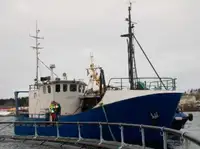 Trawler बेचने के लिए