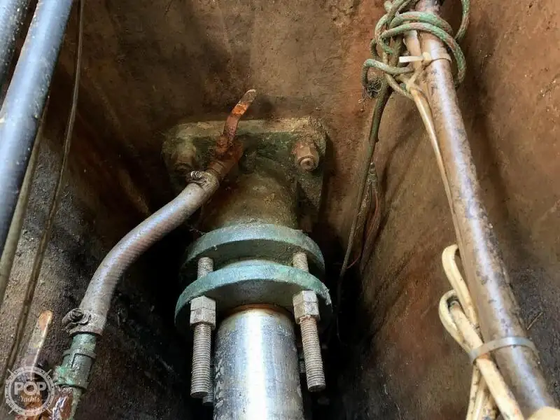 लॉन्गलाइनर बिक्री के लिए