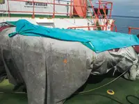 टोबोट बिक्री के लिए