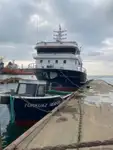 Purse seiner बेचने के लिए
