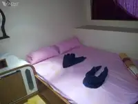 डाइव सपोर्ट बिक्री के लिए