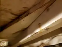 फेरी पोत बिक्री के लिए