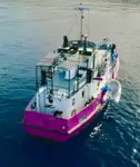 General Cargo/Multi-purpose बिक्री के लिए