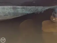 टोबोट बिक्री के लिए