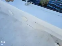 ट्रॉलर बिक्री के लिए