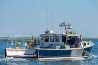 Purse seiner बेचने के लिए