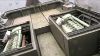 टोबोट बिक्री के लिए