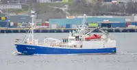 Purse seiner बेचने के लिए