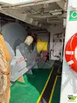 टोबोट बिक्री के लिए