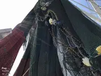 ट्रॉलर बिक्री के लिए
