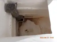 पर्से सीनर बिक्री के लिए