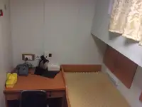 टोबोट बिक्री के लिए
