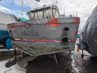 कार्य नौकाएँ बिक्री के लिए