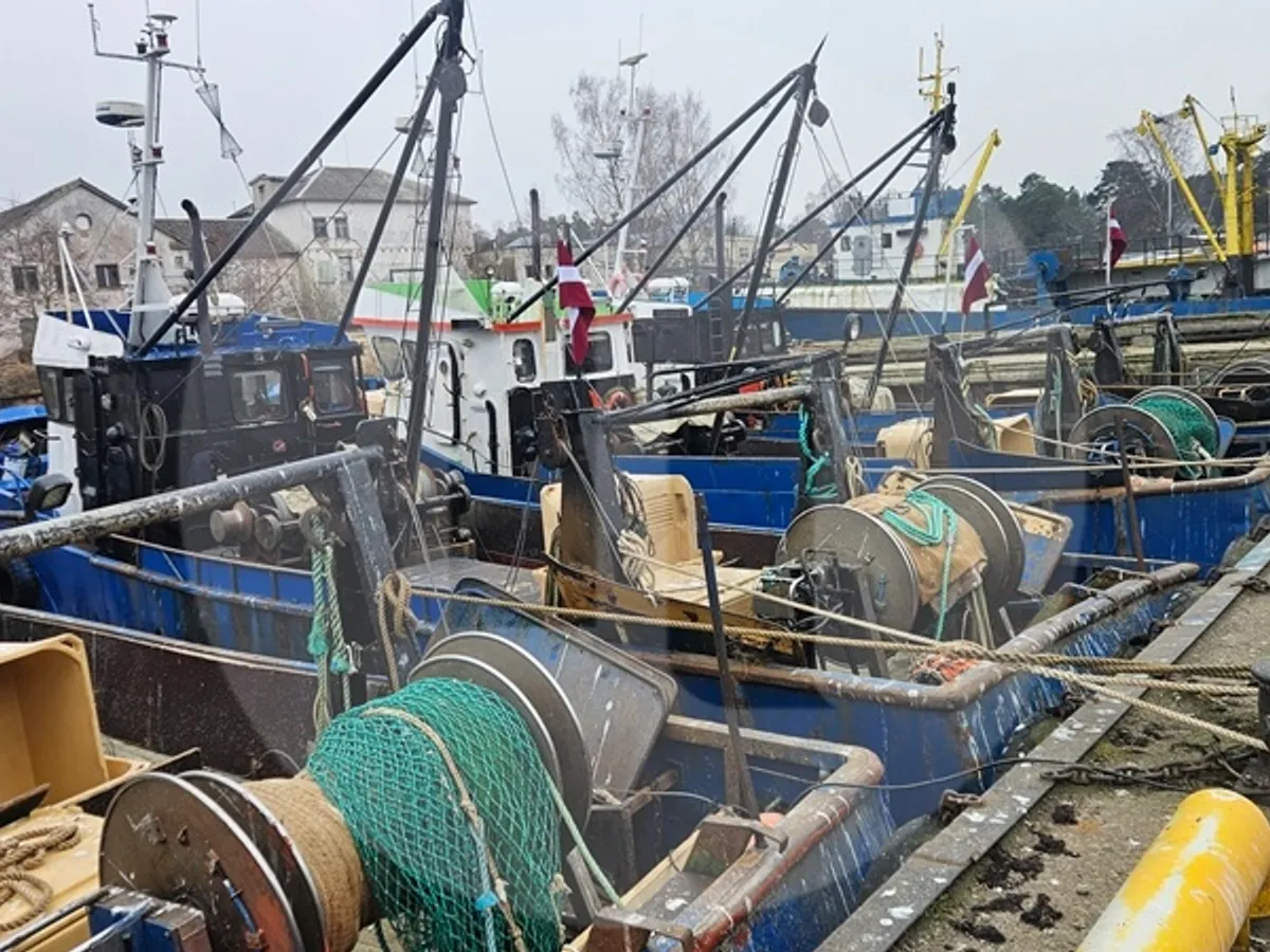 लाइव मछली वाहक पोत बिक्री के लिए
