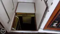 डाइव सपोर्ट बिक्री के लिए