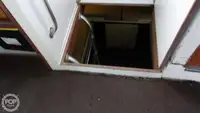डाइव सपोर्ट बिक्री के लिए