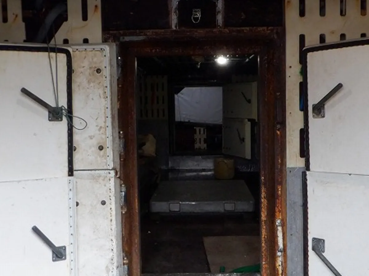 लॉन्गलाइनर बिक्री के लिए