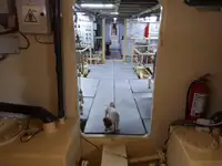 General Cargo/Multi-purpose बिक्री के लिए