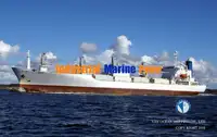 रेफ़र जहाज बिक्री के लिए