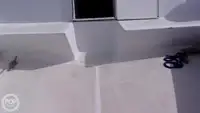 डाइव सपोर्ट बिक्री के लिए