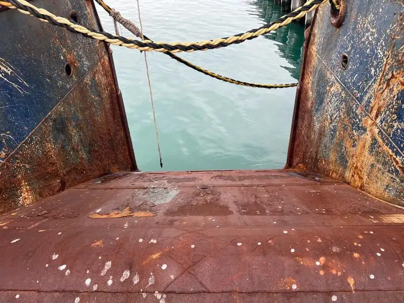 ट्रॉलर बिक्री के लिए