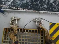रेफ़र जहाज बिक्री के लिए