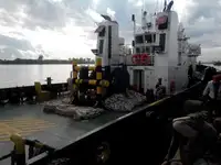 टोबोट बिक्री के लिए