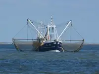 Trawler बेचने के लिए