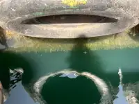 टोबोट बिक्री के लिए