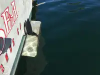 ट्रॉलर बिक्री के लिए