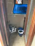 क्रू बोट बिक्री के लिए