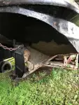 टोबोट बिक्री के लिए
