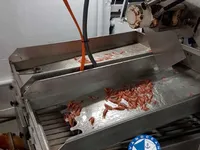 ट्रॉलर बिक्री के लिए